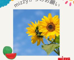 【お知らせ】mizzyからのお願い