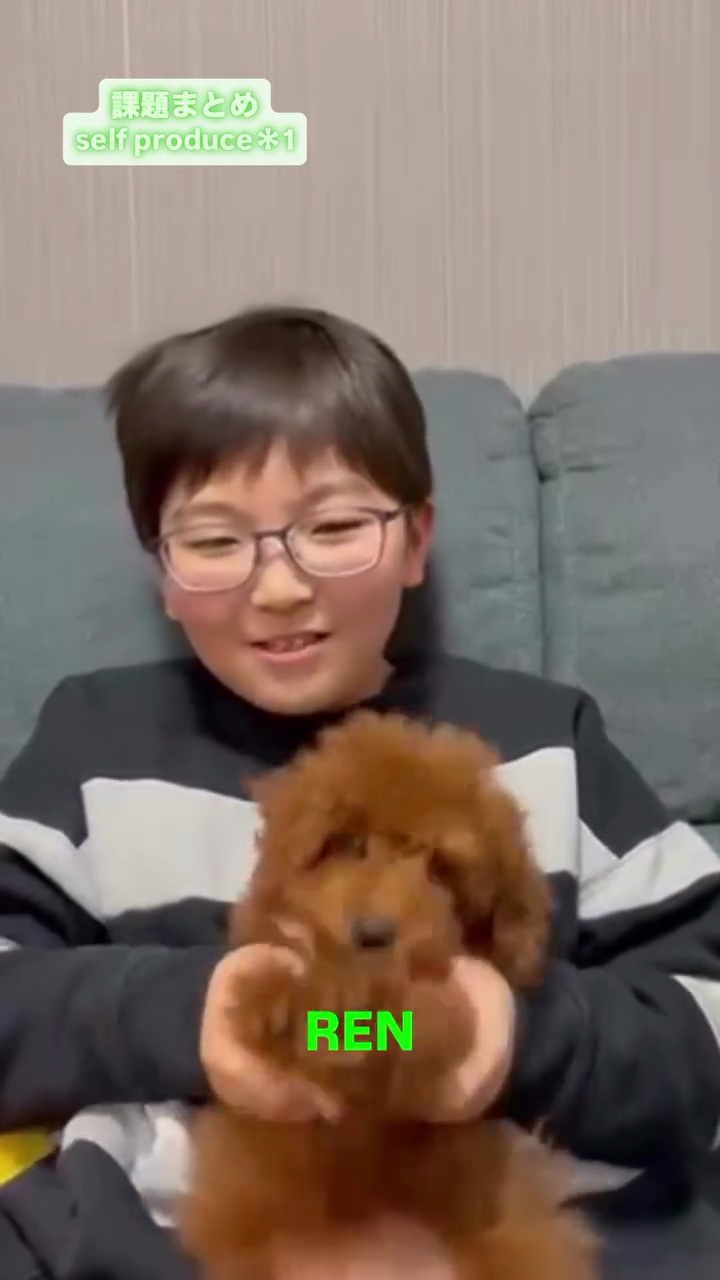 ハイライト画像